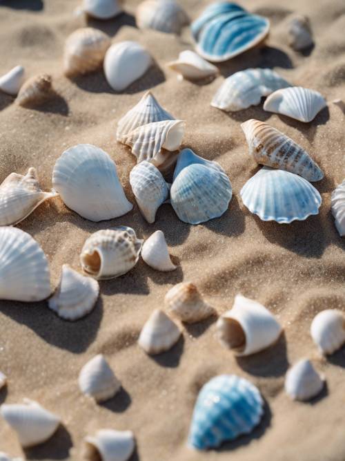 Eine Sammlung verschiedener hellblauer Muscheln an einem Sandstrand unter der Sommersonne.