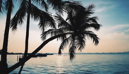 Folhas de palmeira azuis mostradas em silhueta contra o céu da manhã.