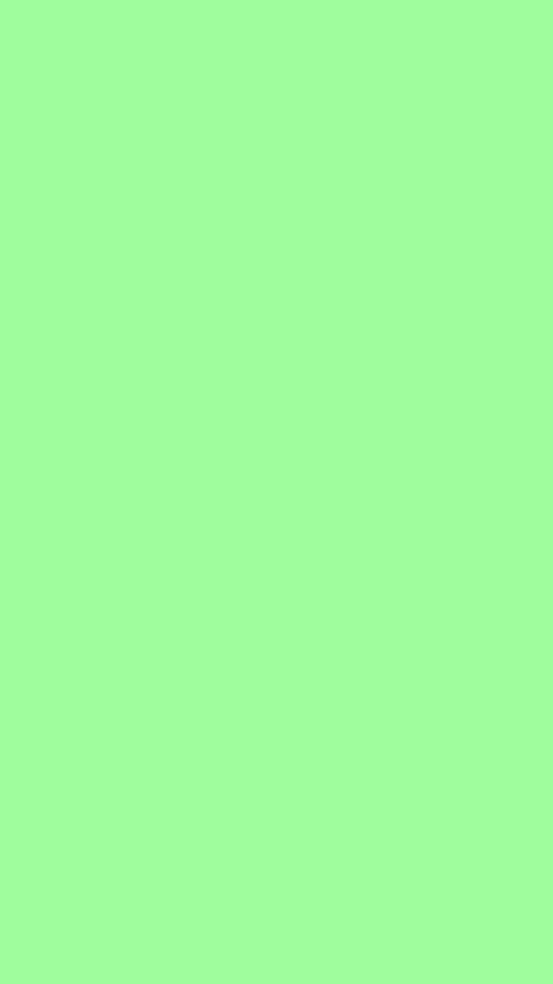 Bright Green Solid Color Background Tapeta [2db1901ba7cc4f45925e]