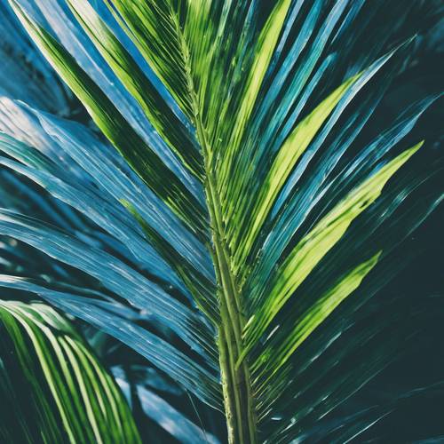 引人注目的蓝绿色杂交棕榈树叶子。