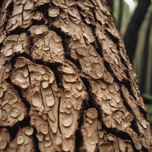 A piece of tan bark in a forest, emphasizing the details and textures.