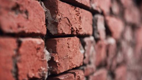 A close-up of a red brick revealing its texture and rough edges.