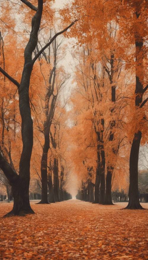 Vintage jesienny krajobraz z jasnymi drzewami pomarańczowymi i opadłymi liśćmi na ziemi.