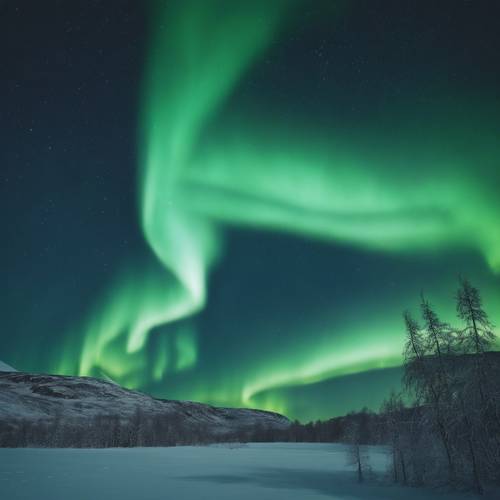 Спектральное зелено-синее явление северного сияния, освещающее ночное небо на севере Норвегии.