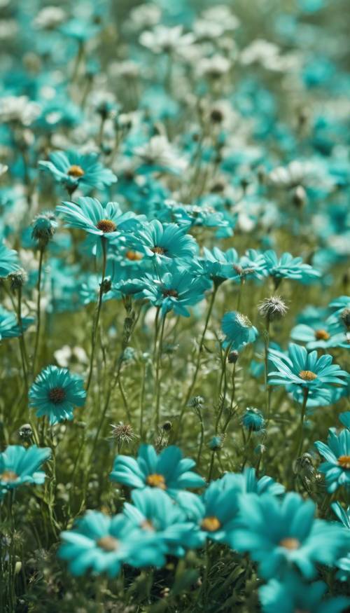 סידור יפהפה של פרחים בצבע טורקיז הפורחים באחו שופע וירוק תחת שמיים כחולים צלולים.