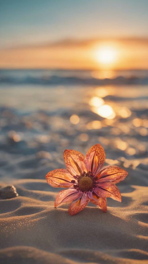 פרח בוהו צבעוני עם דוגמאות מורכבות על חוף הים בזמן השקיעה.