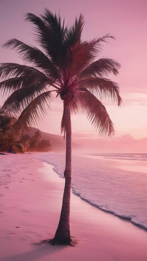 Pohon palem berwarna merah muda cerah berdiri megah di pantai berpasir putih saat fajar.