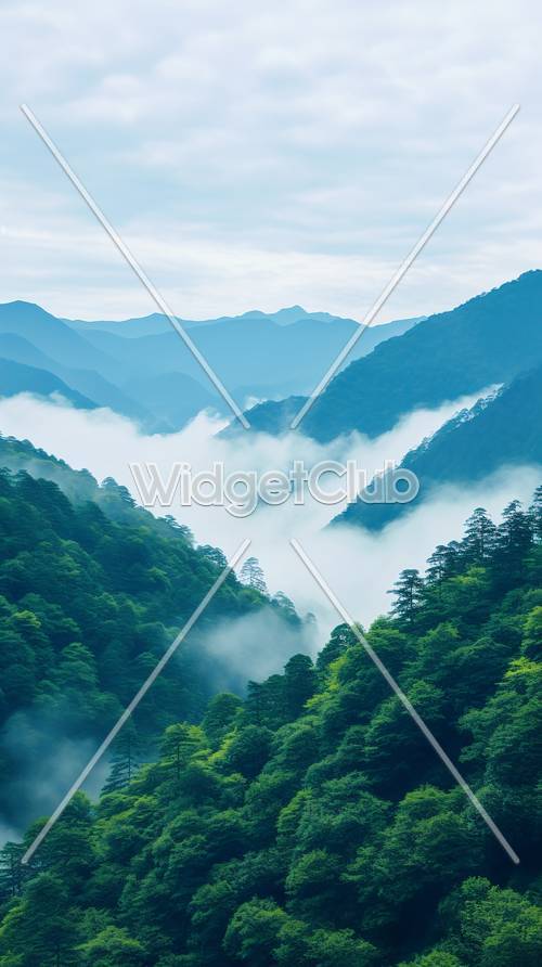 Montagne nebbiose e foreste rigogliose