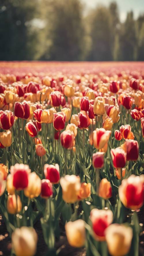 Una rappresentazione impressionistica di un soleggiato campo di tulipani.