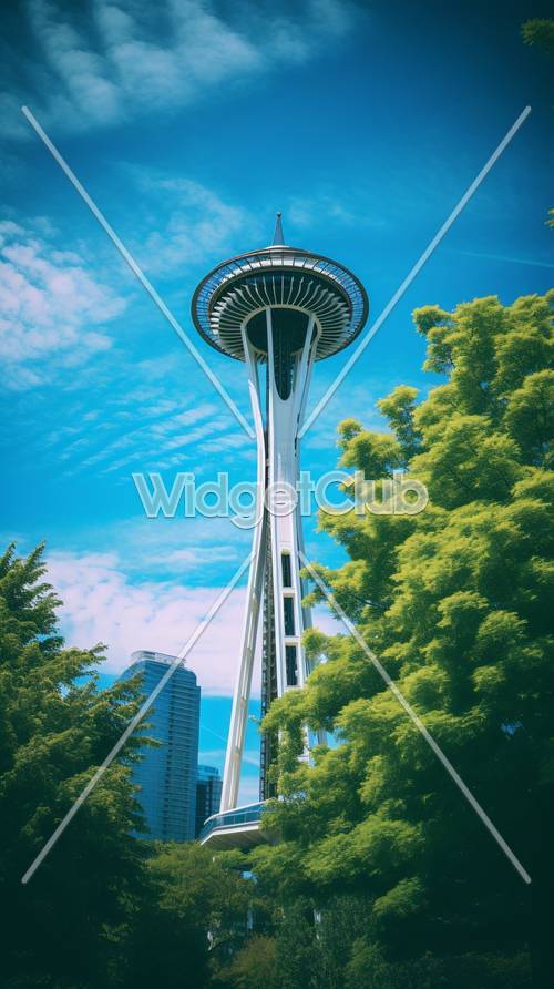 Seattle Sky Tower on a Sunny Day