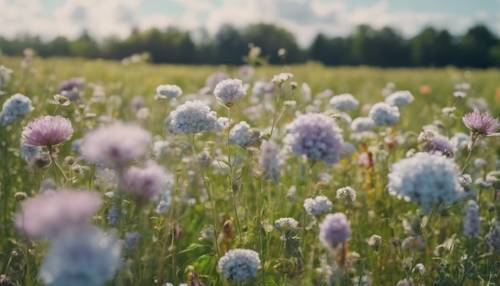 Lush field of wildflowers swaying gently in the summer wind, with the bright blue sky filled with fluffy cumulus clouds as the backdrop.