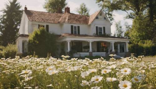 A simple country home with a lush front yard filled to the brim with daisies.