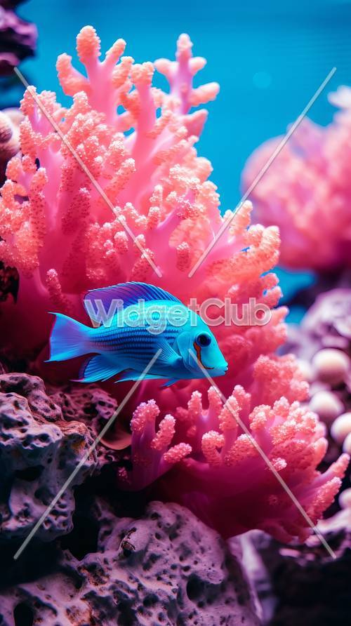 سمكة زرقاء لامعة مع خلفية الشعاب المرجانية الوردية