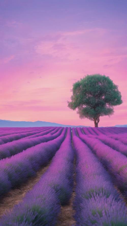 파스텔 핑크와 블루의 황혼 하늘 아래 부드럽게 흔들리는 무성한 라벤더 밭은 차분한 미학을 불러일으킵니다.