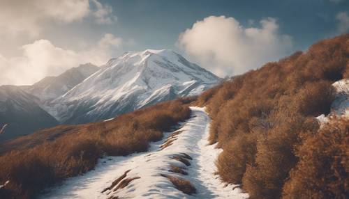 A winding trail leading up to a snow-capped mountain peak.