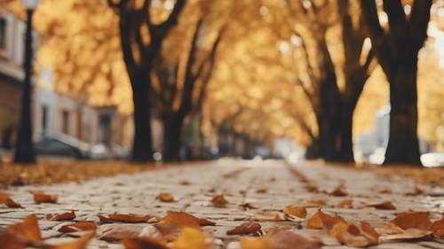 Beige Herbstblätter fallen sanft auf einen Kopfsteinpflasterweg in einem historischen Viertel.