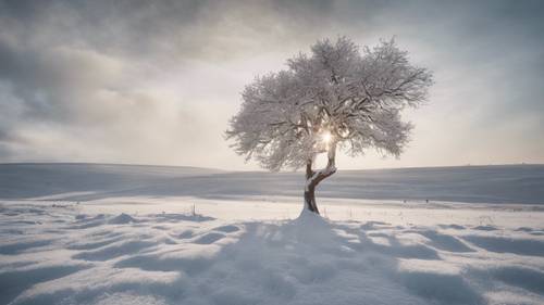 Uma árvore solitária em uma paisagem coberta de neve, com as palavras &quot;Eu sou forte&quot; gravadas na neve ao redor dela.