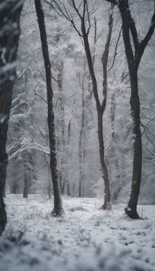 Soğuk ve karlı bir kış sırasında gri bir ormanın ayrıntılı görünümü. Kar taneleri çorak ağaçları yavaşça kaplıyor.