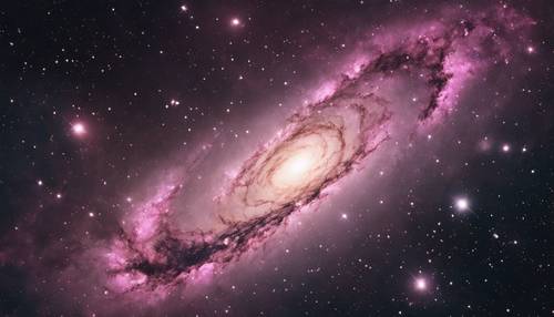 A spiral galaxy seen in a night sky, with pink nebulae and black voids of space.