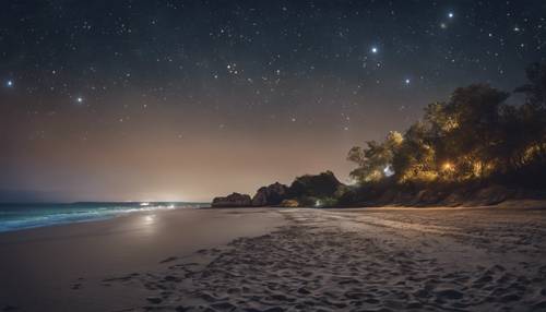 חוף שקט בשעת לילה מאוחרת עם השמים מלאים בכוכבים מנצנצים.