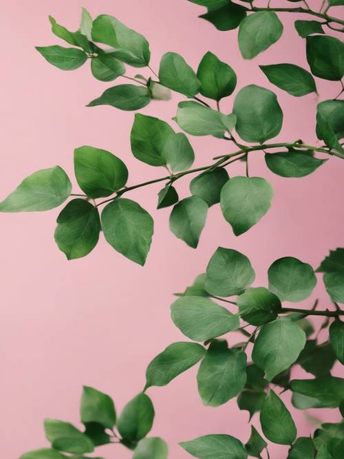 Vários formatos de folhas verdes criando uma abstração contra um fundo rosa suave.