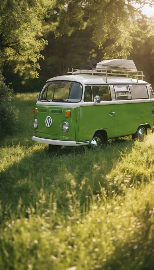 Una giornata di sole in un prato lussureggiante con un furgone Volkswagen retro verde vivido parcheggiato sul lato.