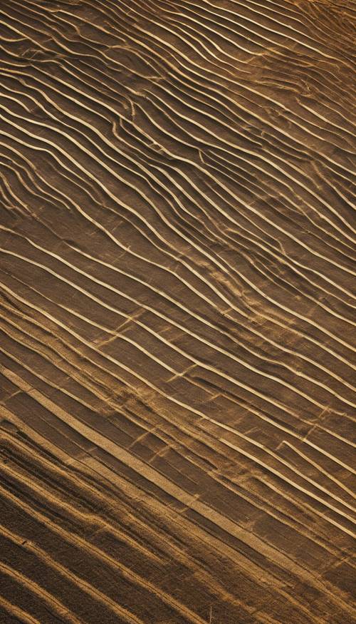 Eine Luftaufnahme von sauber gepflügtem Ackerland, das einem Muster aus goldenen Streifen ähnelt.