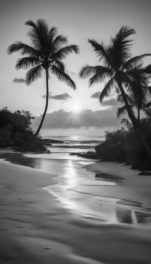 Ein tropischer Strand bei Sonnenaufgang, alles ist in reinem Schwarzweiß dargestellt.