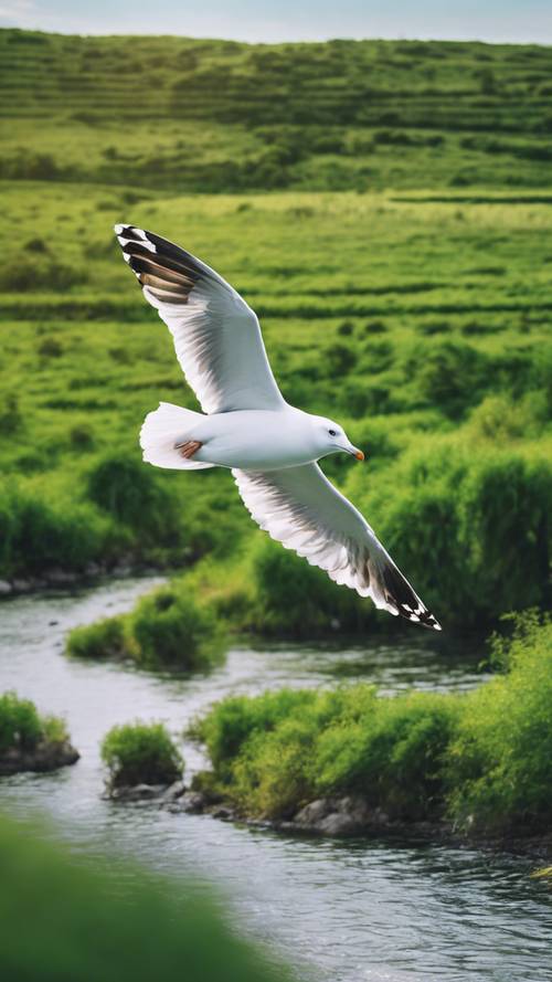 Uma gaivota branca com asas expandidas voando sobre uma paisagem verde vibrante.