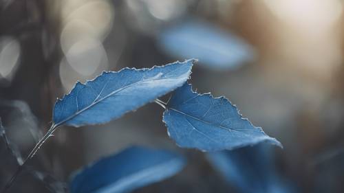 Ein Duo blauer Blätter umarmt sich zart, während sie im Wind treiben.
