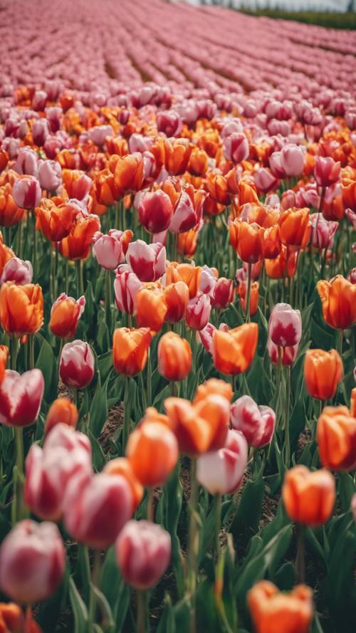 A field of tulips swaying gently in the wind, under a partially cloudy sky.