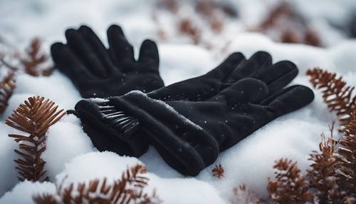 A cozy black suede gloves nestled against the snow. Шпалери [c58604b7bce541449608]