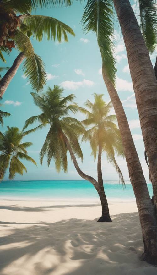 A beautiful cool paint of a peaceful tropical beach, with calm turquoise waters lapping against the shore, and palm trees swaying gently in a warm breeze.