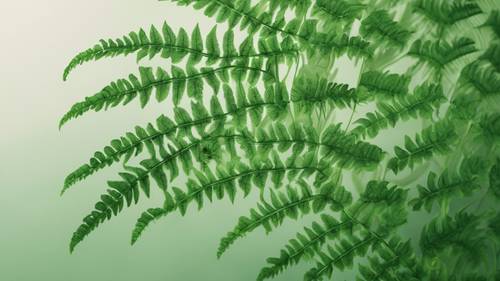 무성한 녹색의 유기 고사리 잎 패턴으로 프랙탈 같은 구조를 자세히 설명합니다.