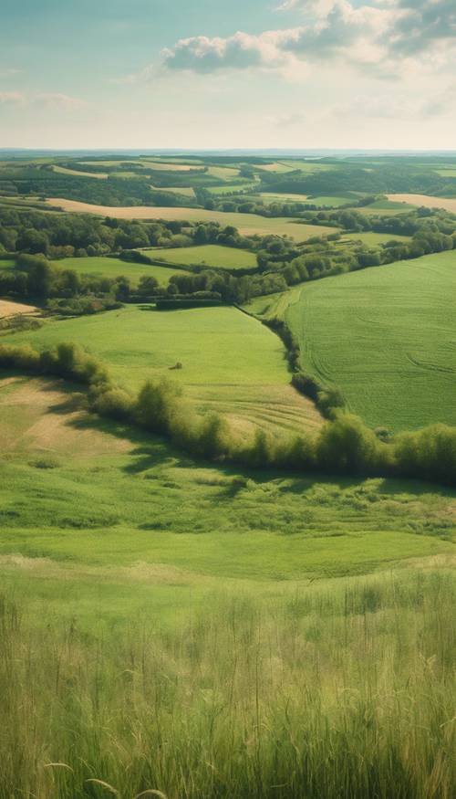 对法国绿色乡村的印象派诠释，有干草地、柔和的阳光和远处的蓝色河流。