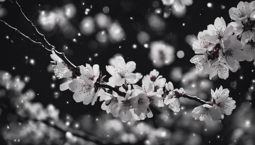 Cherry blossom branches against a dark night sky in a black and white theme