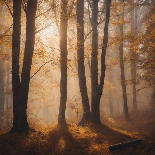 Hutan musim gugur yang berkabut bermandikan cahaya keemasan yang lembut dan misterius.