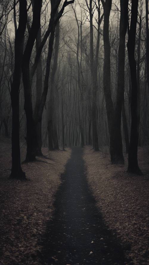 Um caminho escuro, mal iluminado e assustador, através de uma floresta ameaçadora, uma citação sobre coragem corajosamente emoldurada pelas frentes escuras.