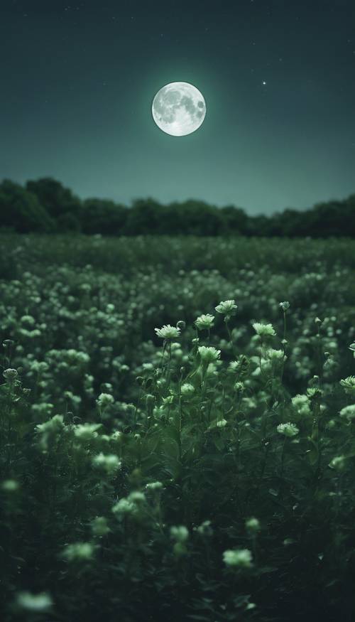 Un champ de fleurs vert foncé sous la pleine lune.