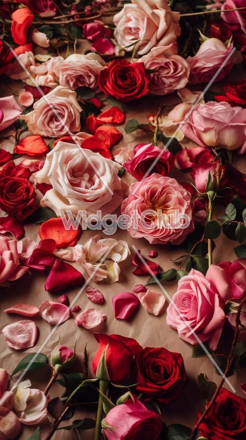 الورود الجميلة بألوان مختلفة