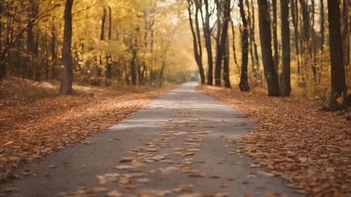 Ein klarer Pfad schlängelt sich im Herbst durch einen dichten Wald und trägt den Spruch: „Es besteht eine gute Chance, dass die Straße vor Ihnen sich windet und windet, aber denken Sie daran, der gerade Weg ist der langweilige Weg.“