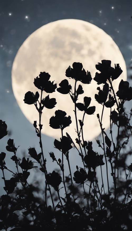月光下的天空映襯著黑色羊皮紙花朵的令人難忘的剪影。