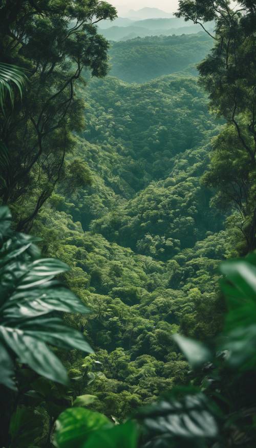 Uma vista imaculada de uma selva verde-esmeralda, vista do topo de uma montanha.