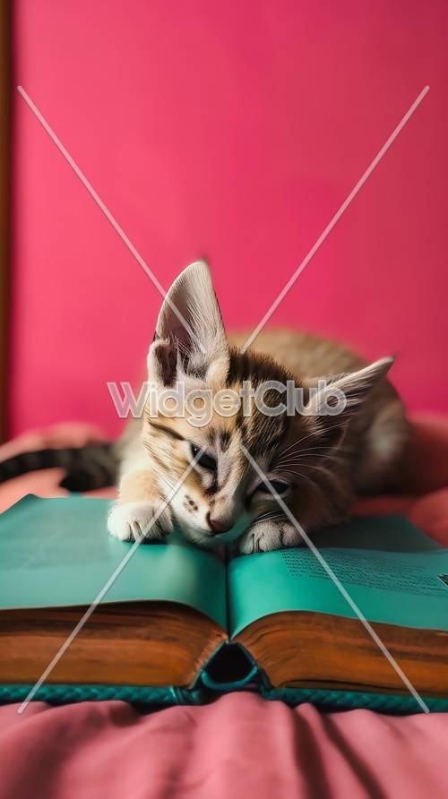 昏昏欲睡的小猫在书上