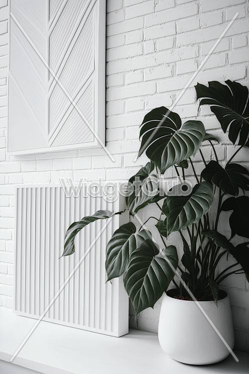غرفة بيضاء حديثة مع نباتات خضراء وديكور أنيق