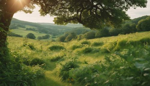Пышная зелень кельтского пейзажа служит фоном для веселого празднования летнего солнцестояния.