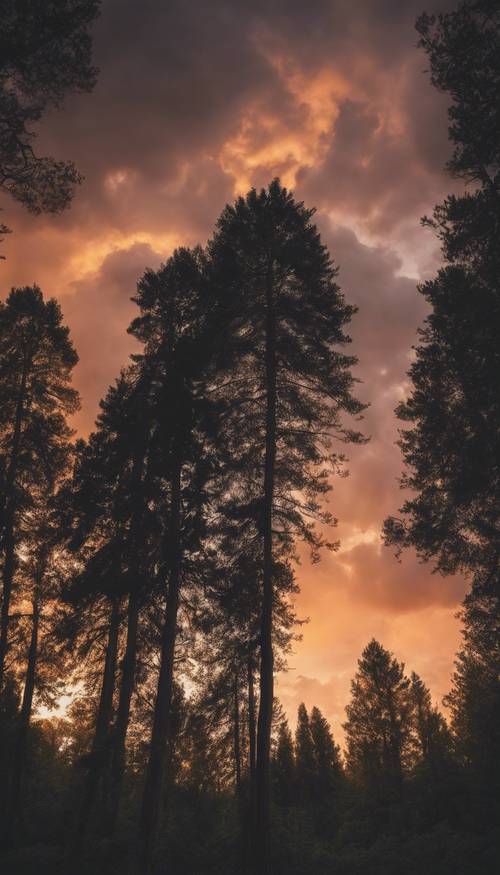Un ciel coucher de soleil enveloppé de sombres nuages ​​d’orage au-dessus d’une forêt tranquille.