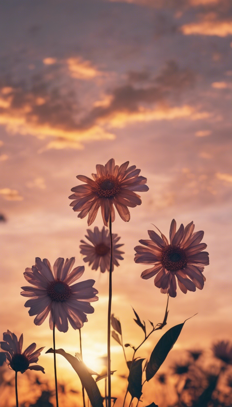 A calming sunset with Indie Flower doodle covering the sky. Tapet[efb9ab757ca14f7fb99a]