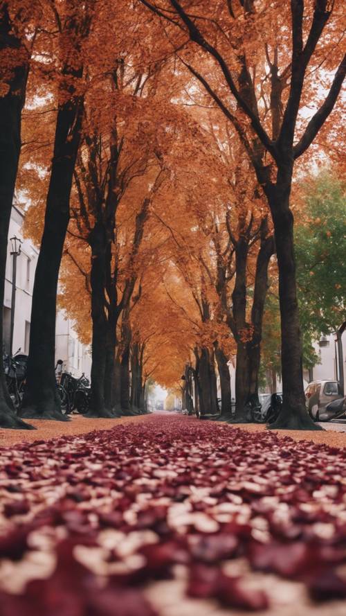 Una calle en otoño con hojas de color burdeos cayendo de los árboles creando una hermosa y cómoda alfombra.