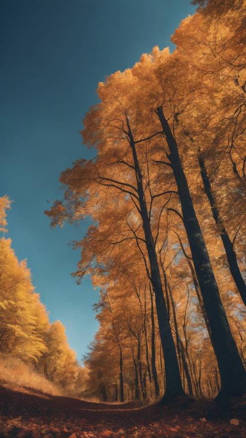 Tętniący życiem jesienny las pod bezchmurnym, głębokim błękitnym niebem.